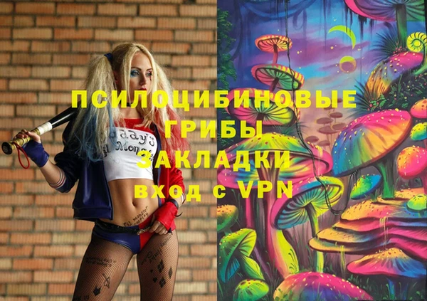 ALPHA PVP Богородицк